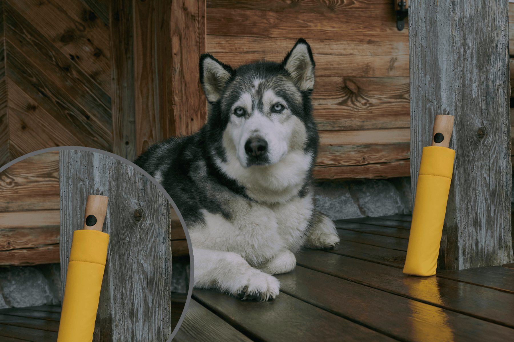 Design_ohne_Titel_7_